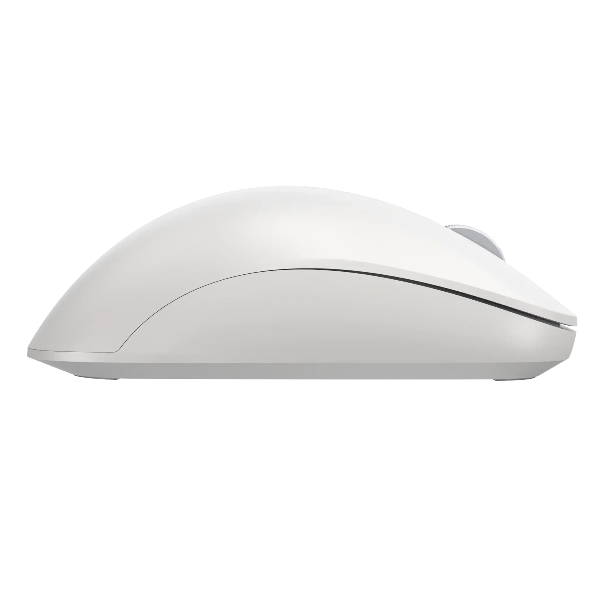 Bluetooth Ergonomic Mouse