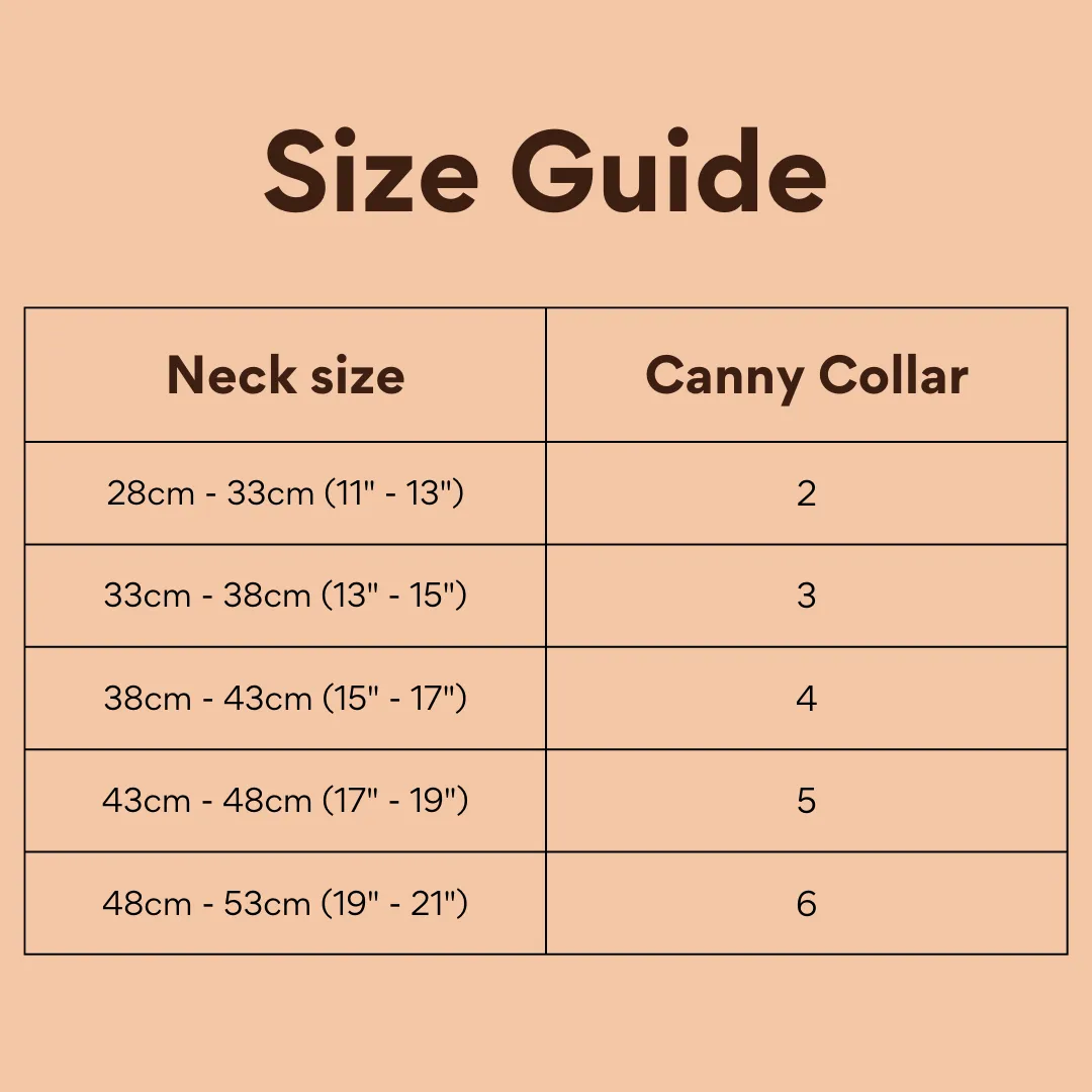 Canny No-Pull Dog Collar Black