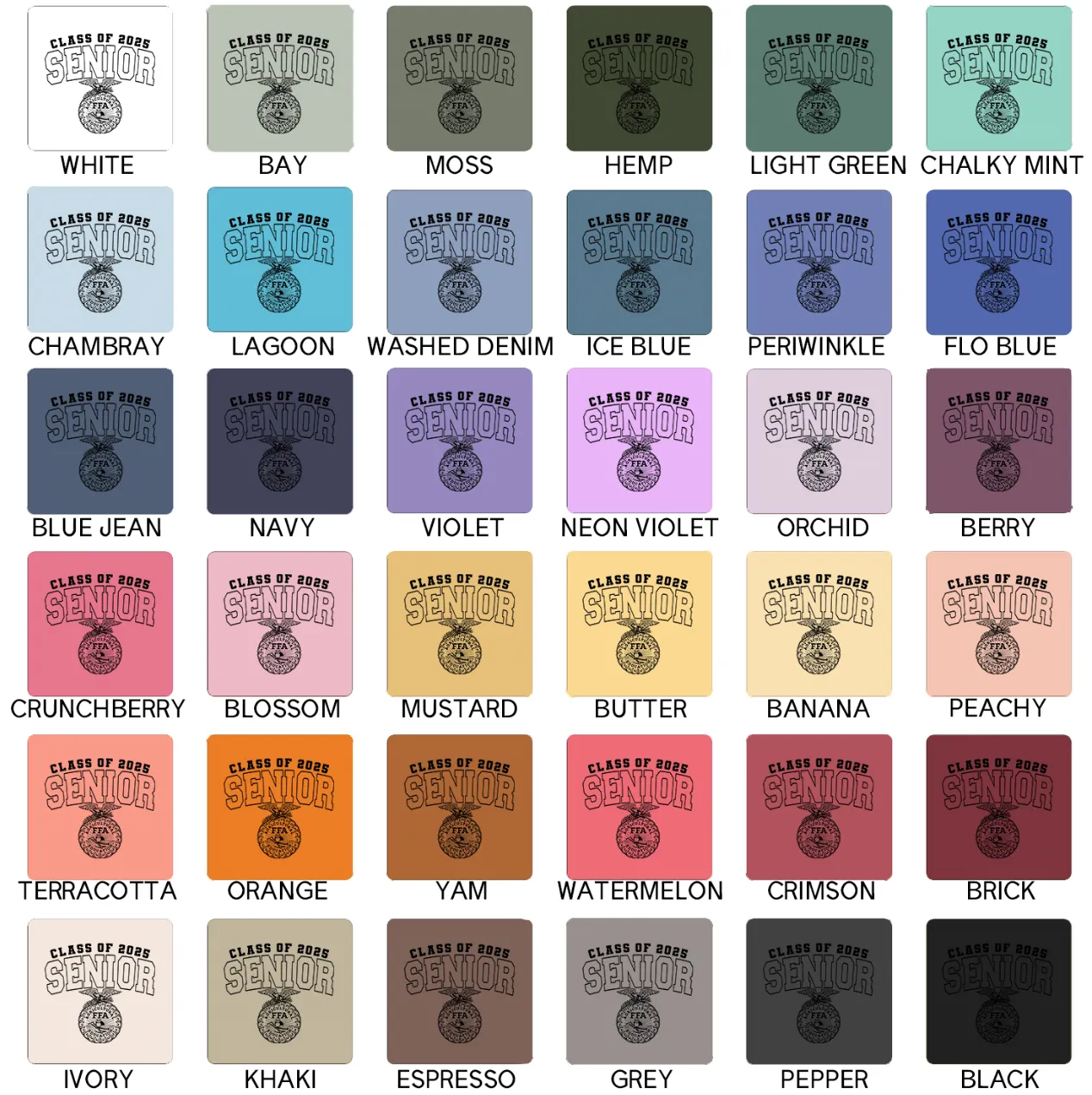 Class of 2025 Senior Emblem – Comfort Colors T-Shirt