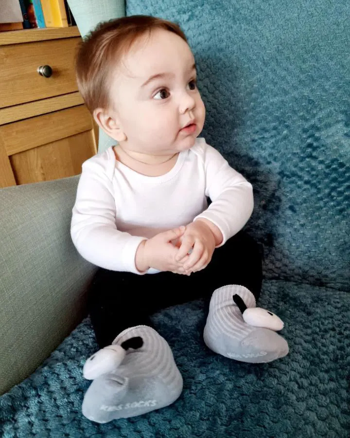 Doggy Baby Socks