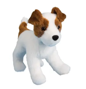 Feisty Jack Russell