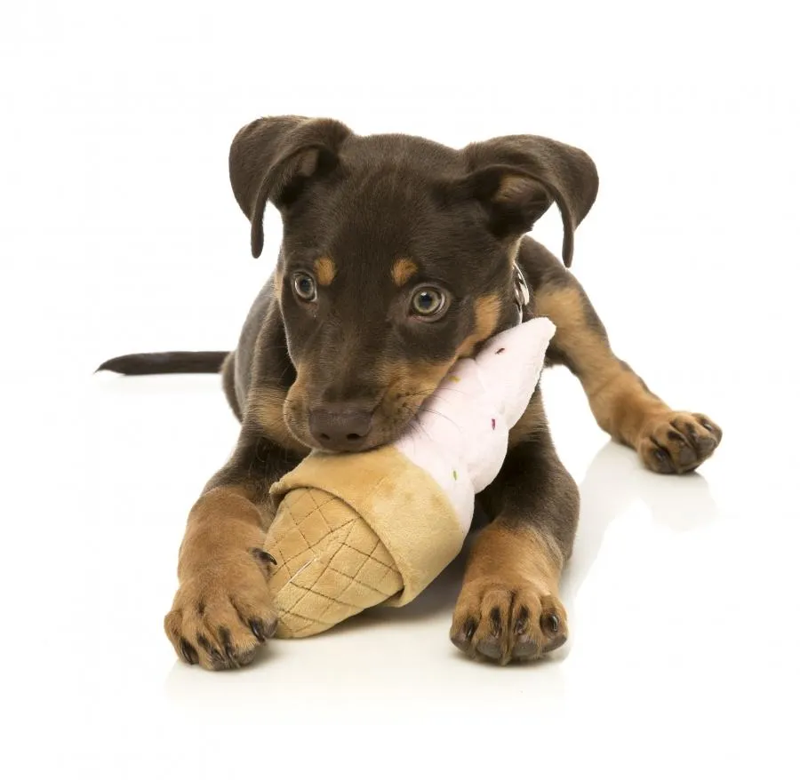 Ice Cream Cone  Dog Toy