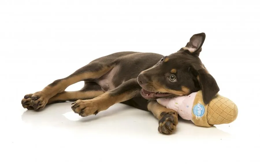 Ice Cream Cone  Dog Toy