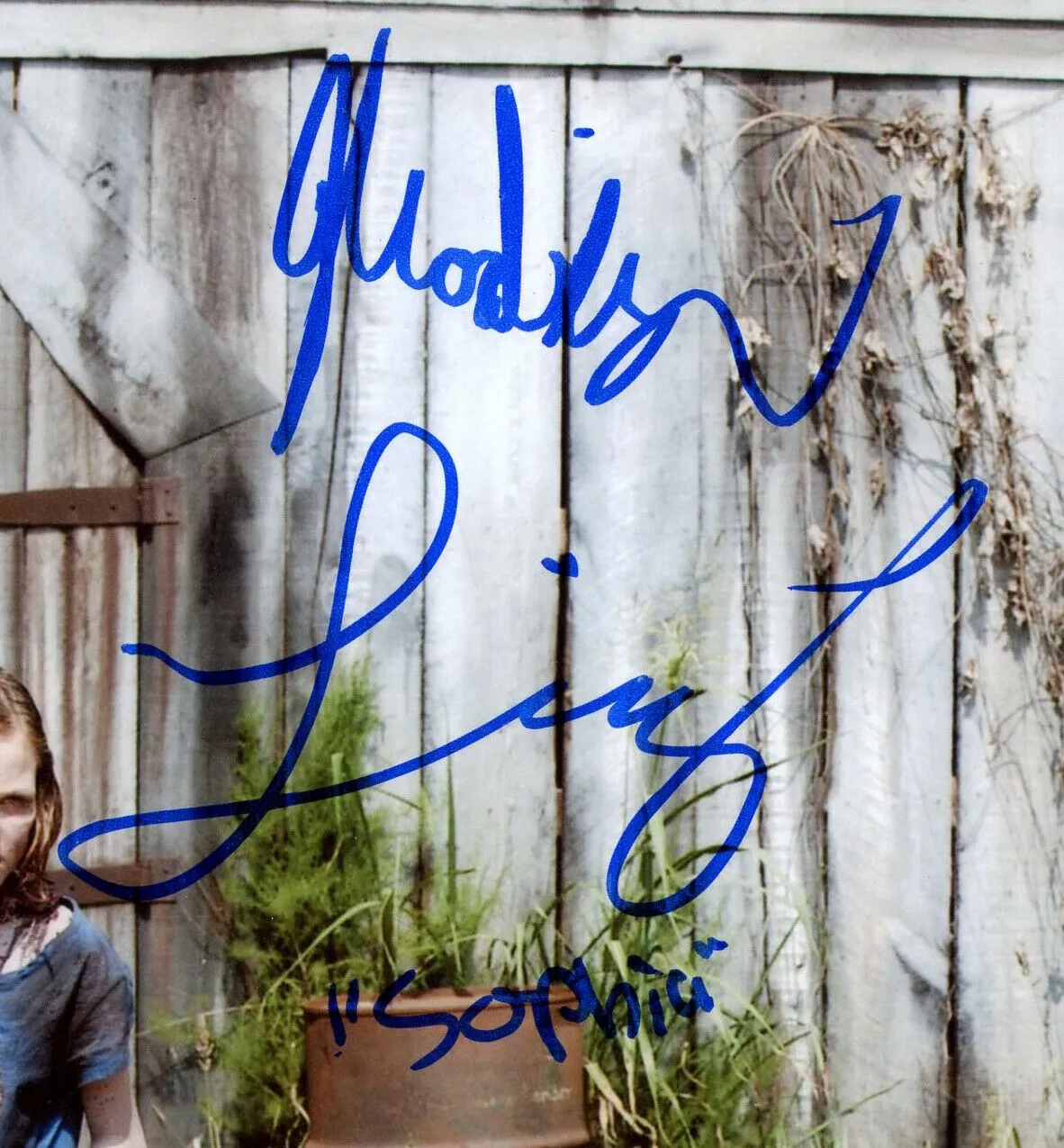 Madison Lintz Signed The Walking Dead Unframed 8x10 Photo - By Barn