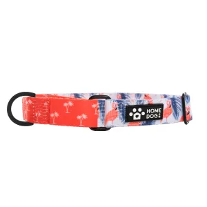 Martingale Collar - Aruba