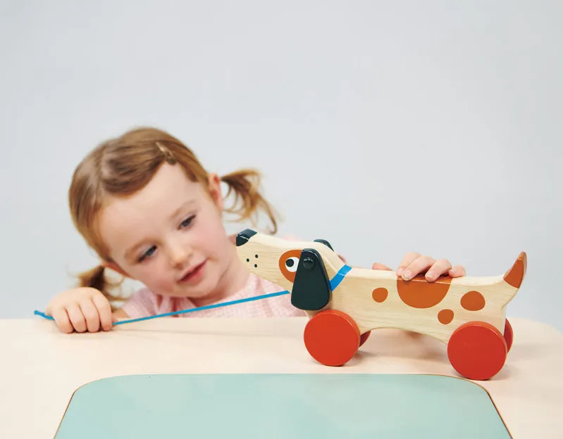Mentari Wooden Puppy On Wheels Pull Along