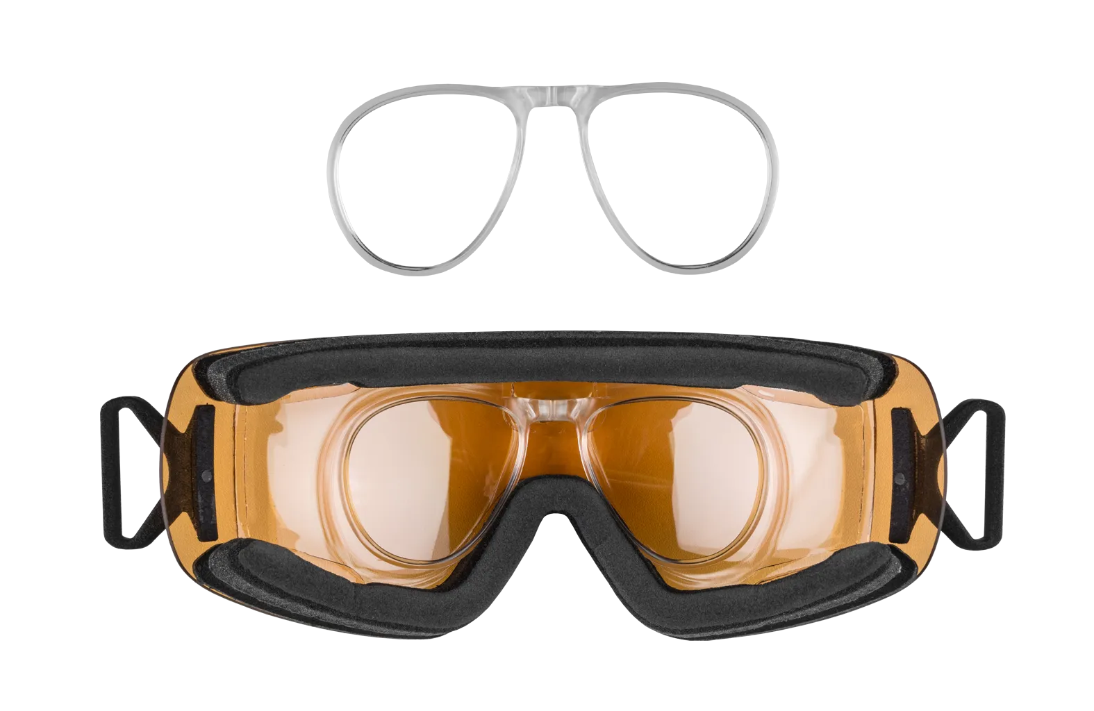 Mountain Goggle