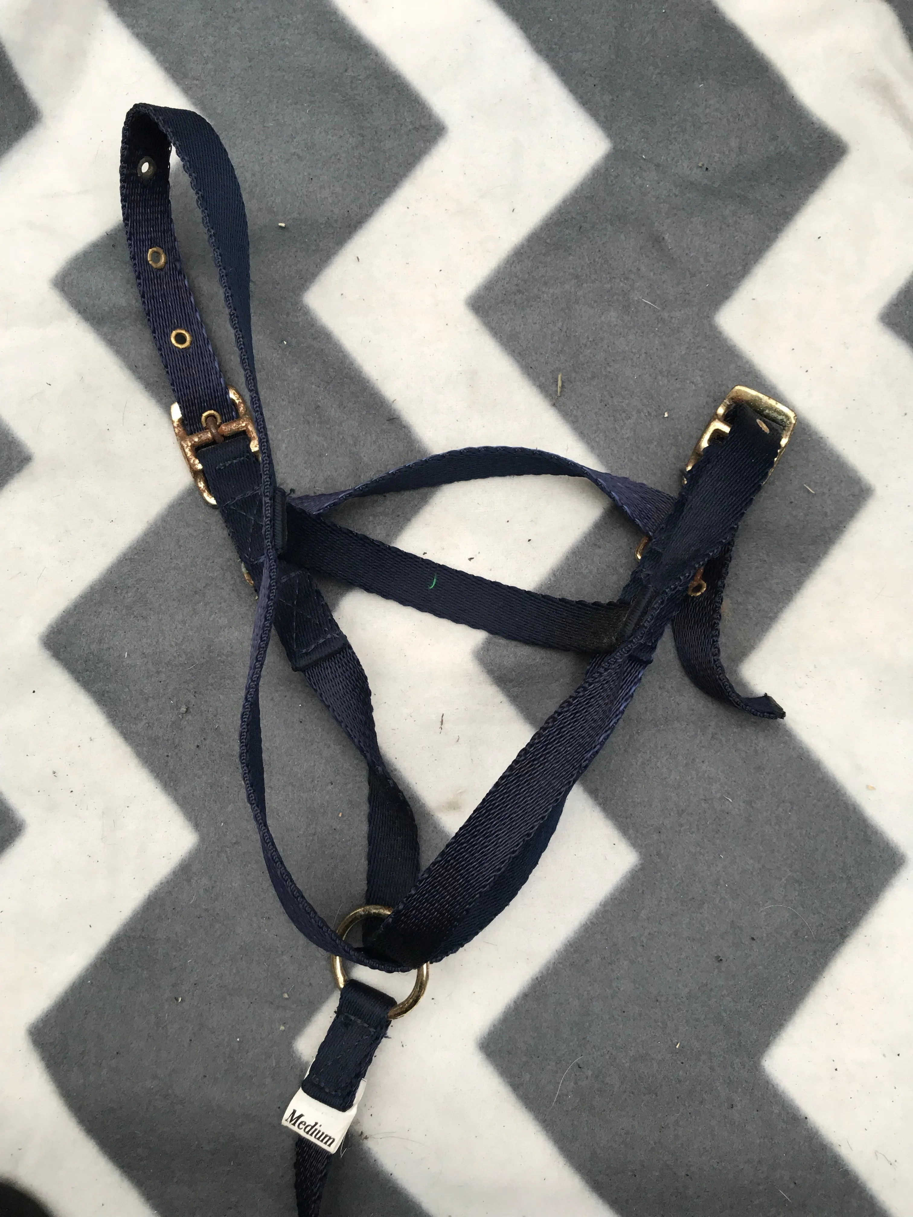 Navy foal slip (medium) FREE POSTAGE