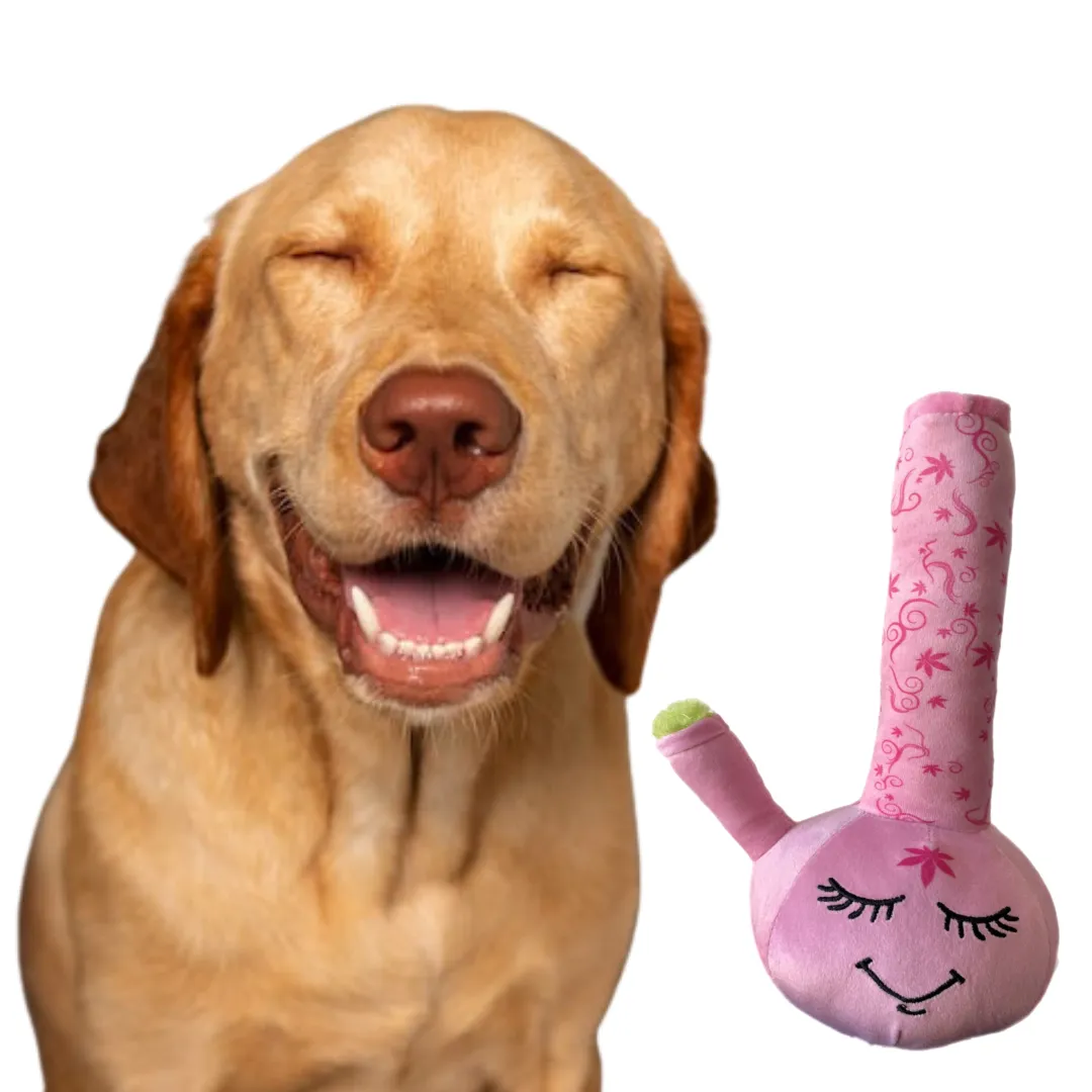 PAW:20 - Harmony Bong 420 Dog Toy 🐶 Marijuana, Weed, Cannabis Themed