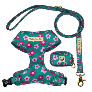 Petunia - Walking Bundle