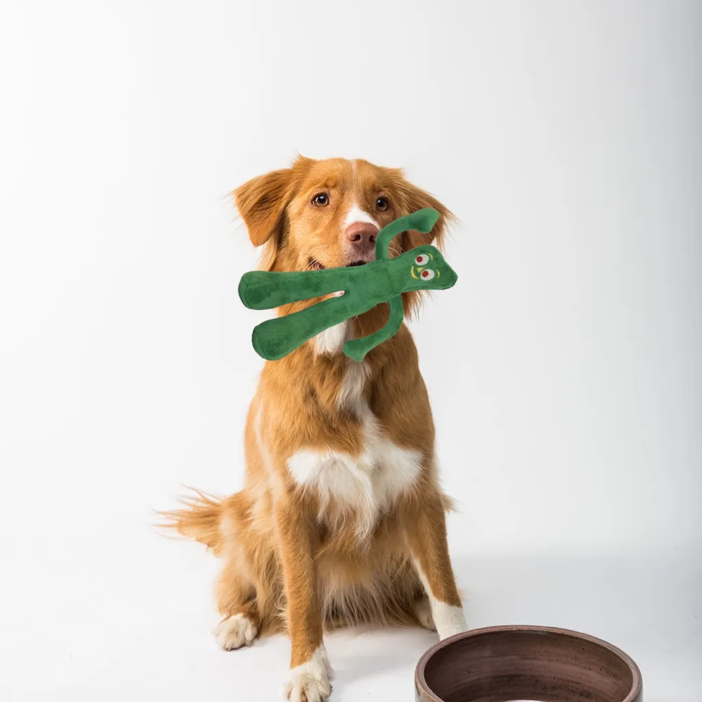 Plush Squeaker Dog Toy - Gumby