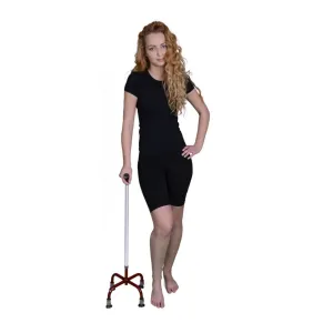 Quadripod Cane Walking Stick