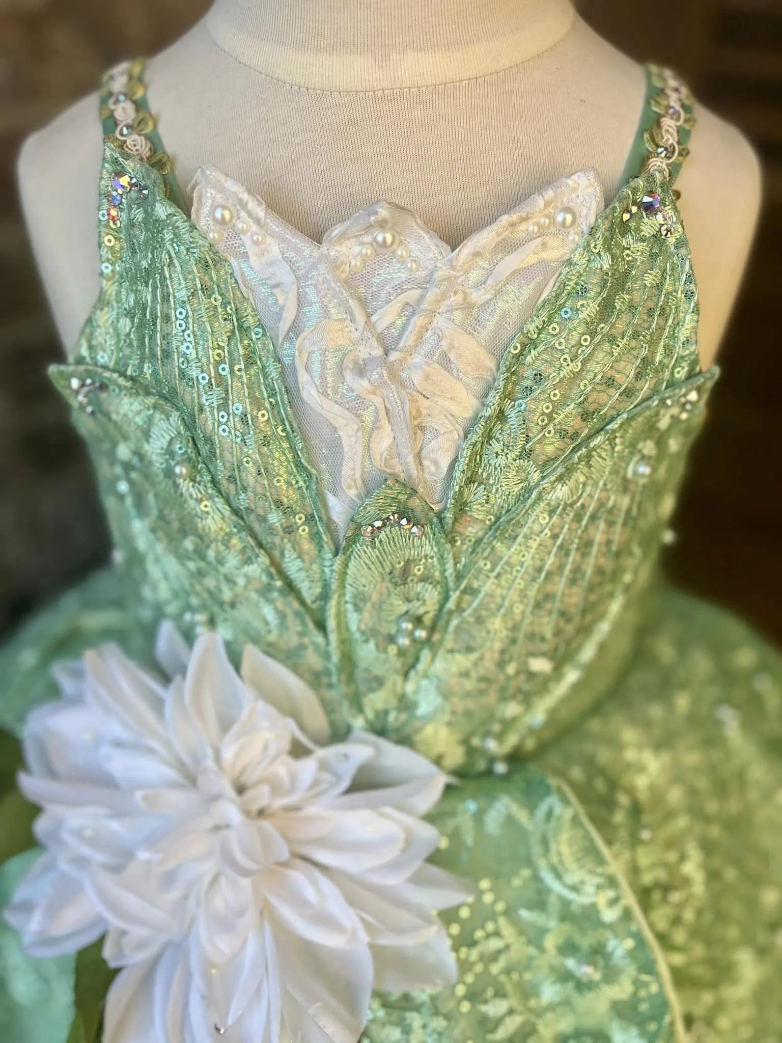 Tiana inspired 4/6
