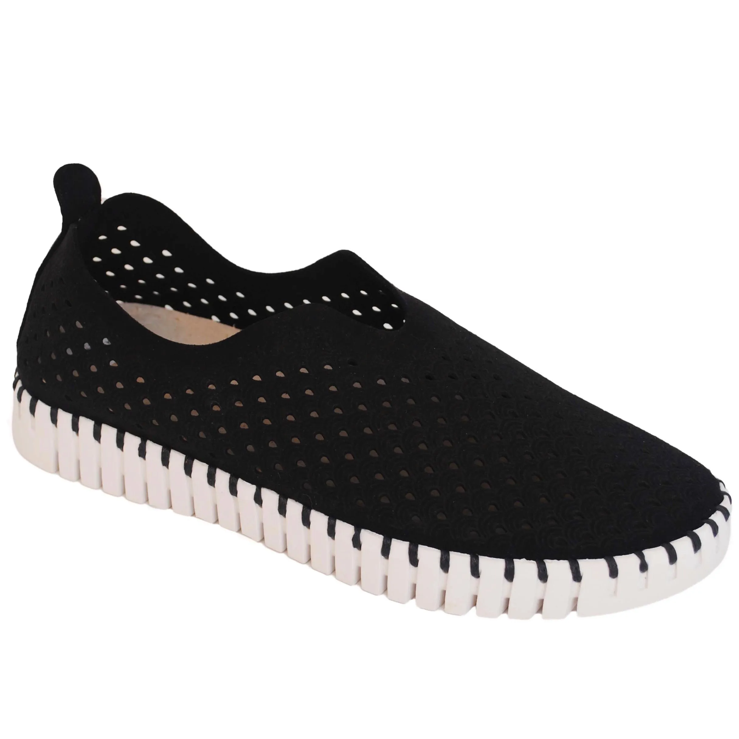 Tulip - Black