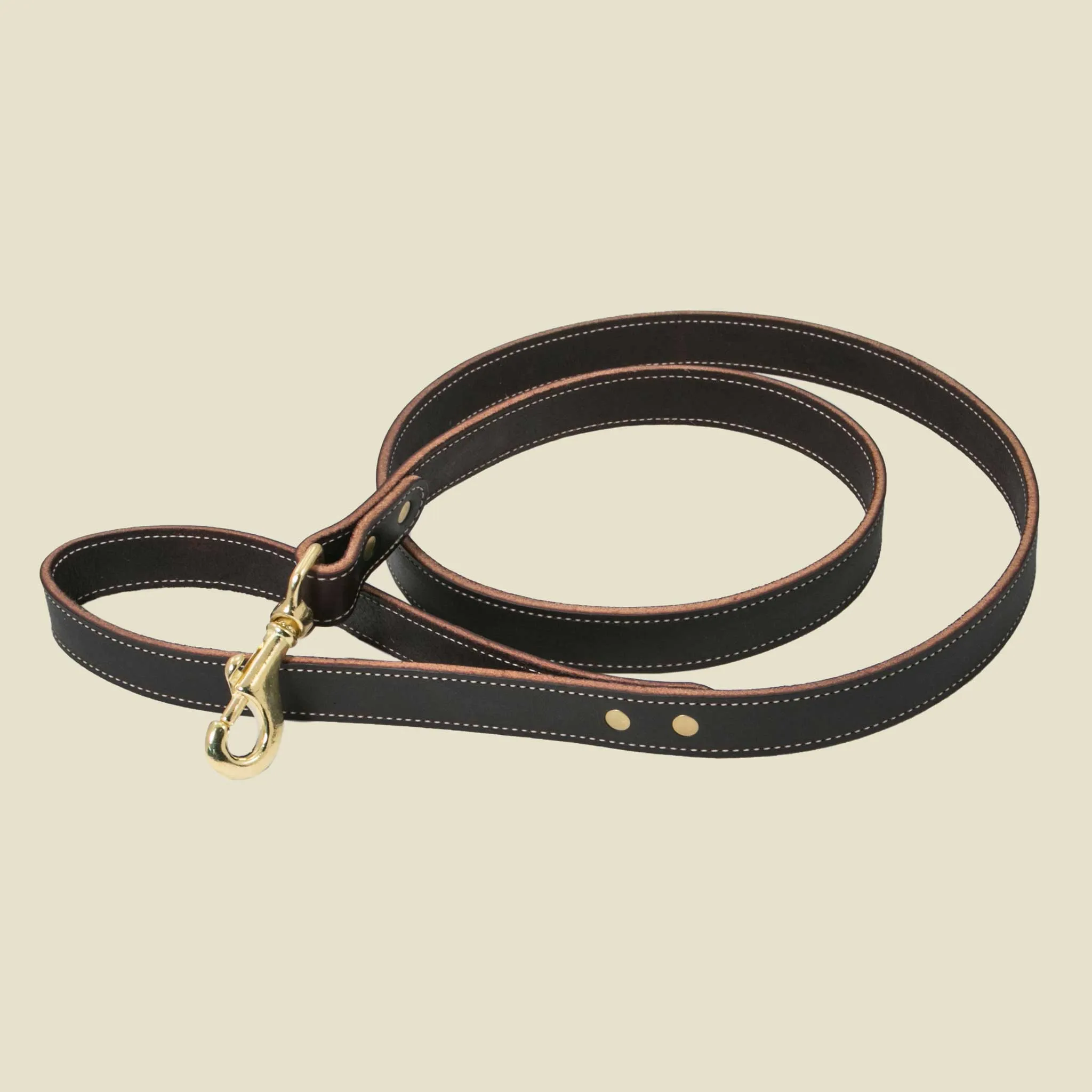Walking Leash