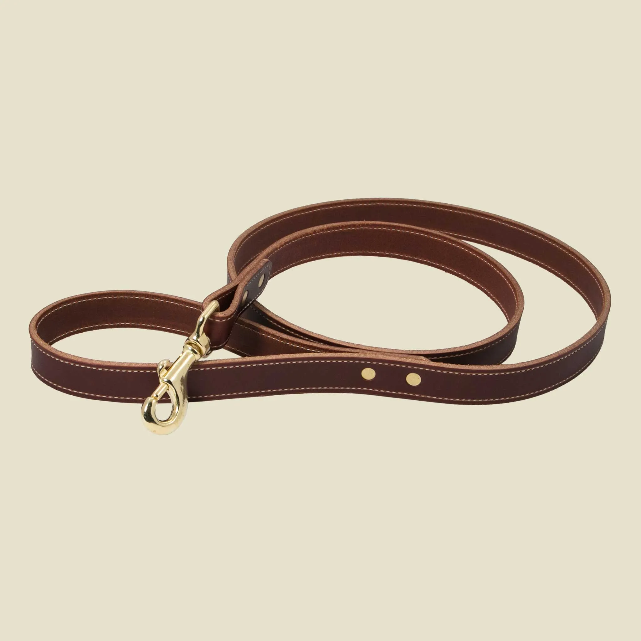 Walking Leash