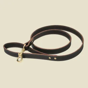 Walking Leash