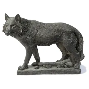 Wolf Walking